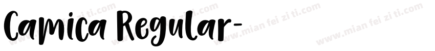 Camica Regular字体转换